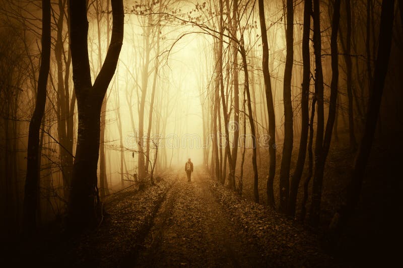 Equipaggi la camminata in una foresta scura ed astratta sinistra con nebbia in autunno