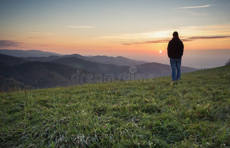 Equipaggi la condizione sulla collina in foresta nera al tramonto fotografia stock Equipaggi la condizione sulla collina in foresta nera al tramonto fotografia stock