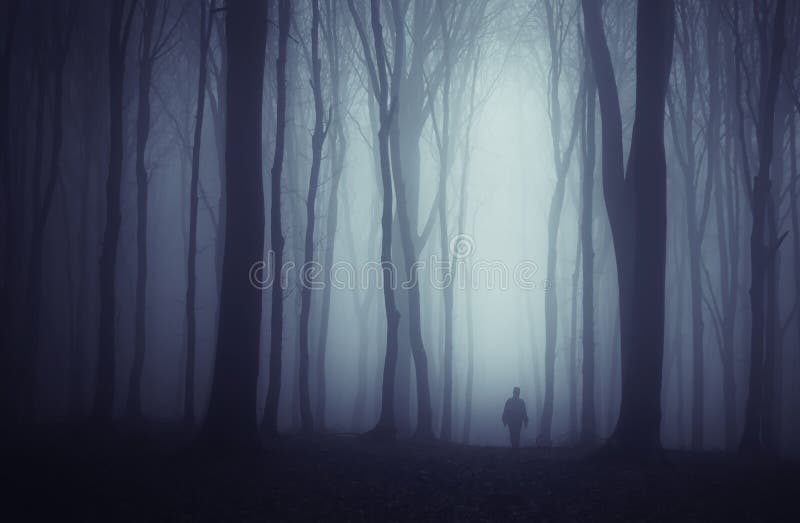 Equipaggi la siluetta in foresta frequentata buio con nebbia