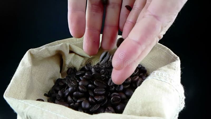 Equipaggi le mani che tengono i chicchi di caffè in sacco della tela ed alcuno che cade, movimento lento del colpo su fondo scuro