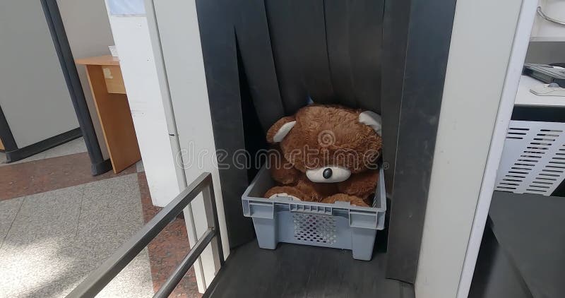 Equipaje facturado de exploración del aeropuerto. máquina de control de equipajes de xxys. juguete suave de oso de peluche