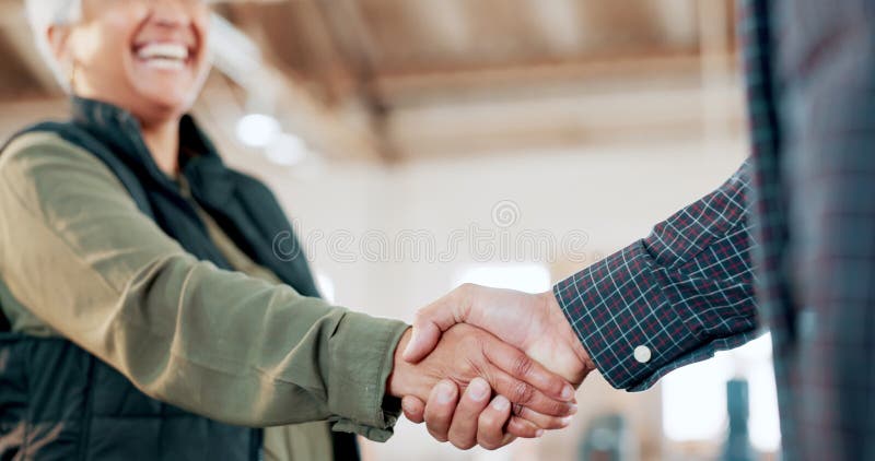 Equipe de engenharia ou carpinteiro agitando as mãos na oficina para um negócio de fabricação. colaboração de madeira