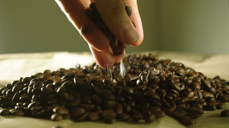 Equipe a mão que pegara alguns feijões de café, fim do movimento lento acima do vídeo