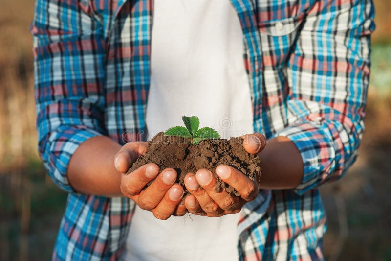 Equipe o fazendeiro que mantém a planta nova nas mãos contra o fundo da mola Conceito da ecologia do Dia da Terra Feche acima do fotos de stock royalty free Equipe o fazendeiro que mantém a planta nova nas mãos contra o fundo da mola Conceito da ecologia do Dia da Terra Feche acima do fotos de stock royalty free
