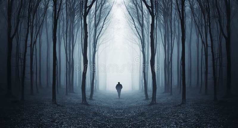 Equipe o passeio em uma floresta escura do fairytalke com névoa