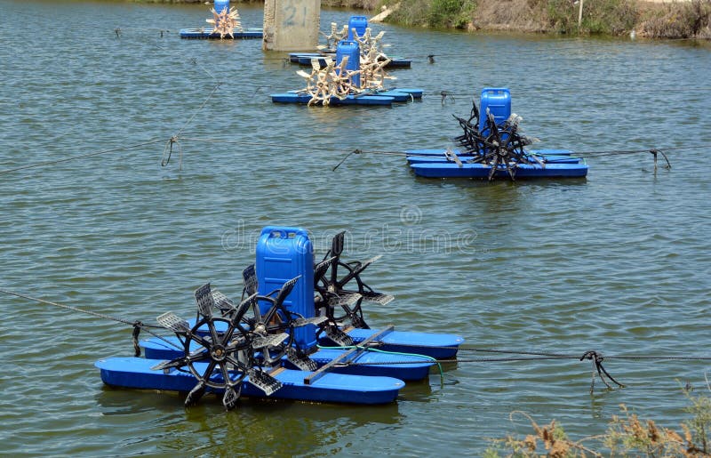 Equipment for Artificial Ponds for Fish Farming Stock Photo Image of