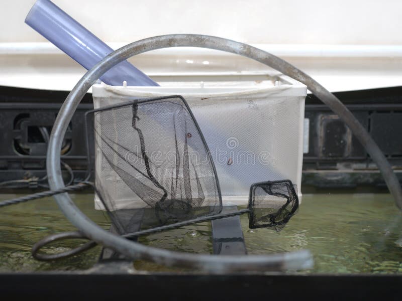 Equipment for Cleaning Fish Tank Stock Photo Image of vacuum, water