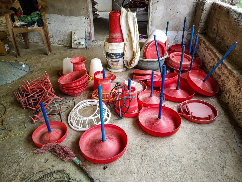The Equipments Needed for Poultry Farm. Stock Photo Image of poultry