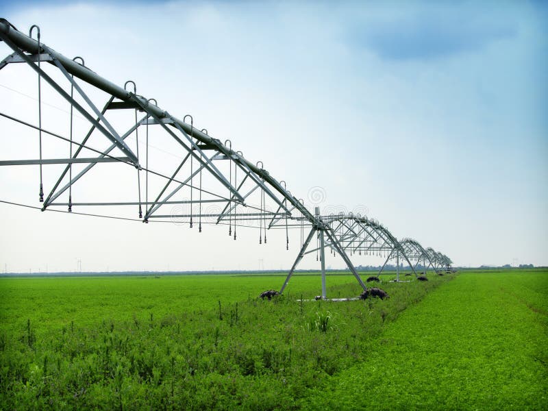Equipo De La Irrigación En Un Campo Del Césped Imagen de archivo