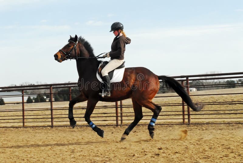 solteiro contínuo linha desenhando jovem jóquei em cavalo. corrida cavalo  com jóquei. campeão. cavalo cavalgando. equestre esporte. jóquei equitação pulando  cavalo. 1 linha desenhar gráfico Projeto ilustração 26988702 PNG