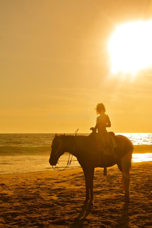 Cavalo cavalgando na bahia imagem editorial. Imagem de freio - 204124325