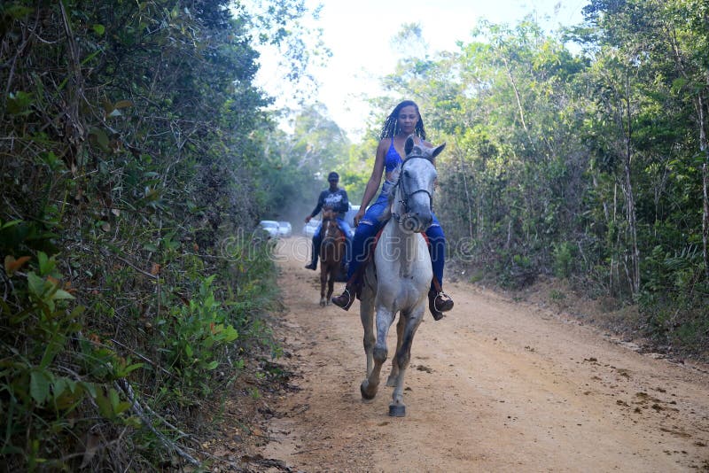 Cavalo cavalgando na bahia imagem editorial. Imagem de freio