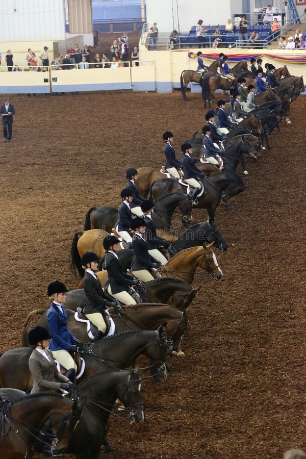 Equitation Class