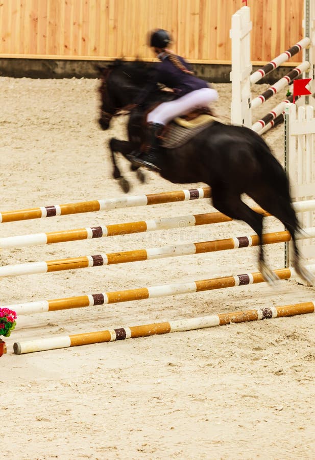 equitation mostri il salto, il cavallo ed il cavaliere sopra il salto immagine stock equitation mostri il salto, il cavallo ed il cavaliere sopra il salto immagine stock