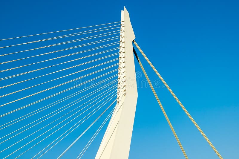 Erasmus Bridge, Rotterdam, Netherlands