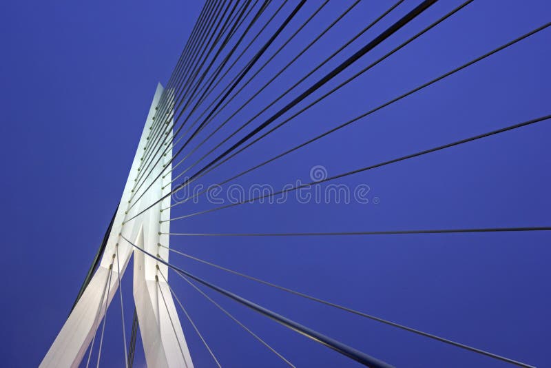 Erasmus Bridge Rotterdam, Zuid-Holland, Nederland stock fotografie Erasmus Bridge Rotterdam, Zuid-Holland, Nederland stock fotografie