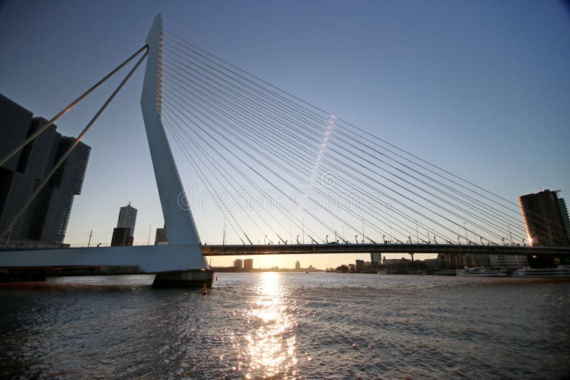 Erasmusbrug den stora bron i Rotterdam namngav till Erasmus under solnedgång i vintern arkivfoto Erasmusbrug den stora bron i Rotterdam namngav till Erasmus under solnedgång i vintern arkivfoto