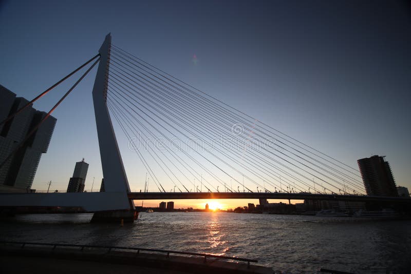 Erasmusbrug, puente grande en Rotterdam nombró a Erasmus durante puesta del sol en el invierno imagen de archivo Erasmusbrug, puente grande en Rotterdam nombró a Erasmus durante puesta del sol en el invierno imagen de archivo