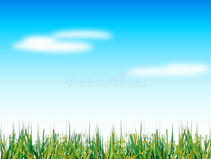 Natural grass and blue sky with clouds. Natural grass and blue sky with clouds