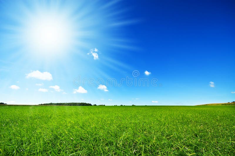Erba verde fresca con cielo blu luminoso fotografie stock libere da diritti Erba verde fresca con cielo blu luminoso fotografie stock libere da diritti