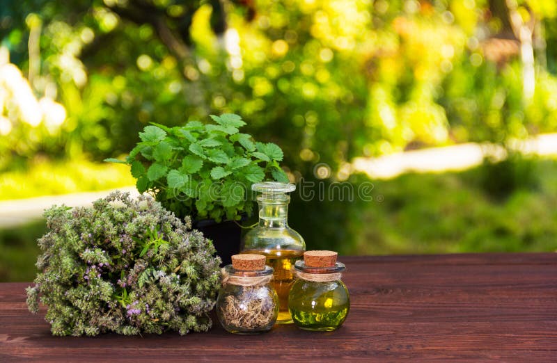 Erbe aromatiche ed oli essenziali Estetiche naturali Medicine naturali Menta piperita e timo fragrante