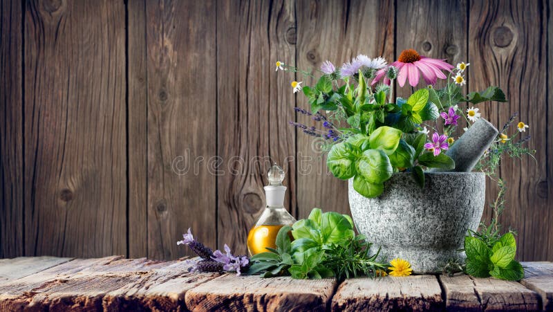 Erbe curative ed olio essenziale in bottiglia con il mortaio immagine stock libera da diritti Erbe curative ed olio essenziale in bottiglia con il mortaio immagine stock libera da diritti