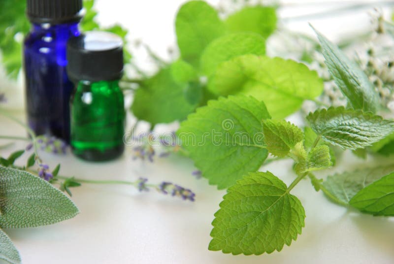 Erbe ed oli essenziali immagine stock libera da diritti Erbe ed oli essenziali immagine stock libera da diritti