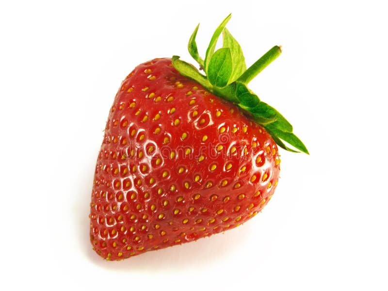 Erdbeere, einzeln. lizenzfreies stockbild Erdbeere, einzeln. lizenzfreies stockbild