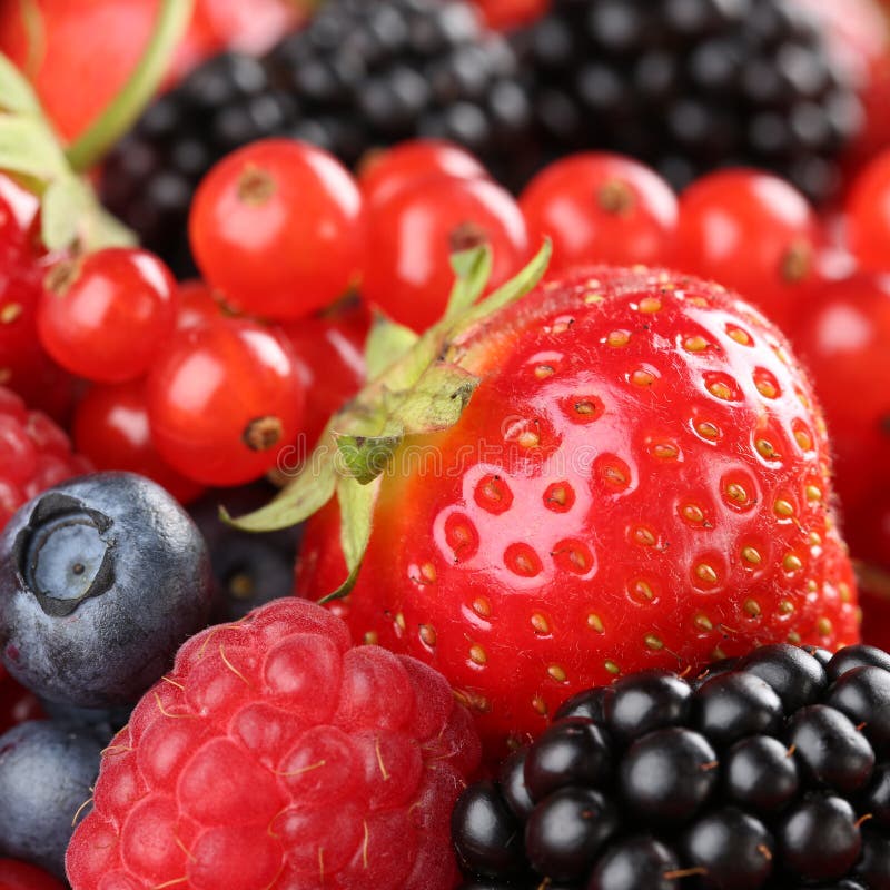 Erdbeeren, Blaubeeren, rote Johannisbeeren, Himbeeren und blackbe