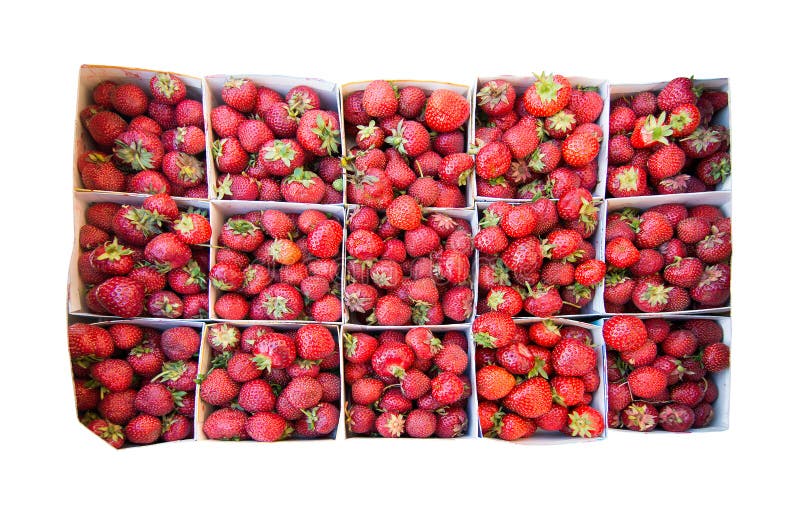 Erdbeeren für Verkauf lizenzfreie stockbilder Erdbeeren für Verkauf lizenzfreie stockbilder