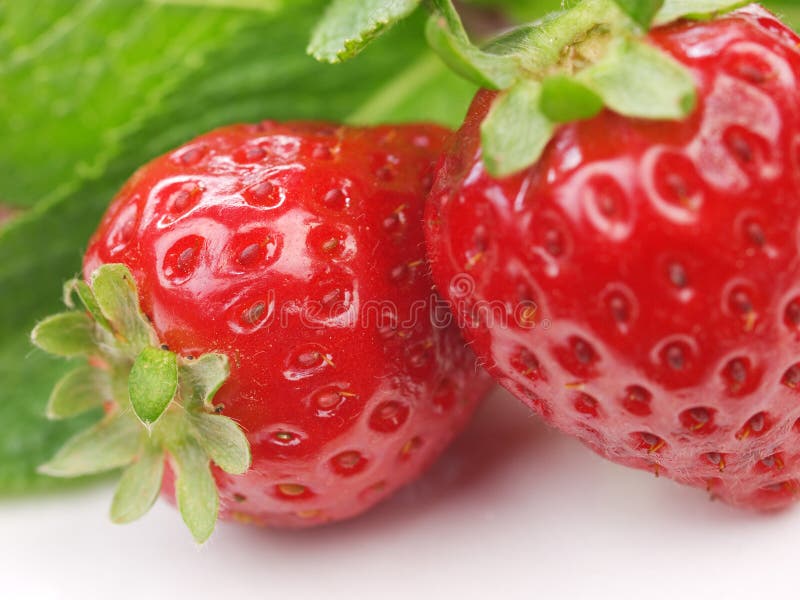 Erdbeeren und Minze stockfoto. Bild von nachrichten, minze - 49378214