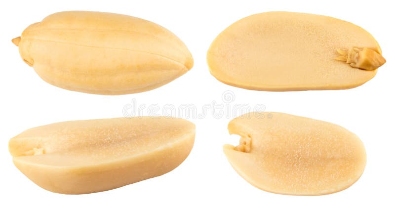 Erdnüsse Erdnussnüsse lokalisiert auf weißem Hintergrund Makro Collec lizenzfreies stockfoto Erdnüsse Erdnussnüsse lokalisiert auf weißem Hintergrund Makro Collec lizenzfreies stockfoto