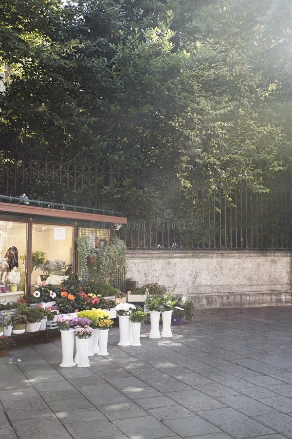 Erforschungsvenedig durch einen Bürgersteigsblumenladen mit einer Sonne erweitern sich lizenzfreie stockfotos Erforschungsvenedig durch einen Bürgersteigsblumenladen mit einer Sonne erweitern sich lizenzfreie stockfotos