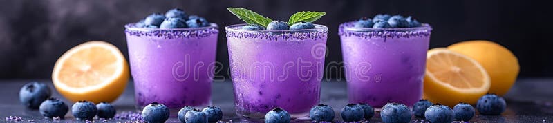 Erfrischende Blueberry Lavender Lemonade mit Lemon und Mint Garnish stock abbildung