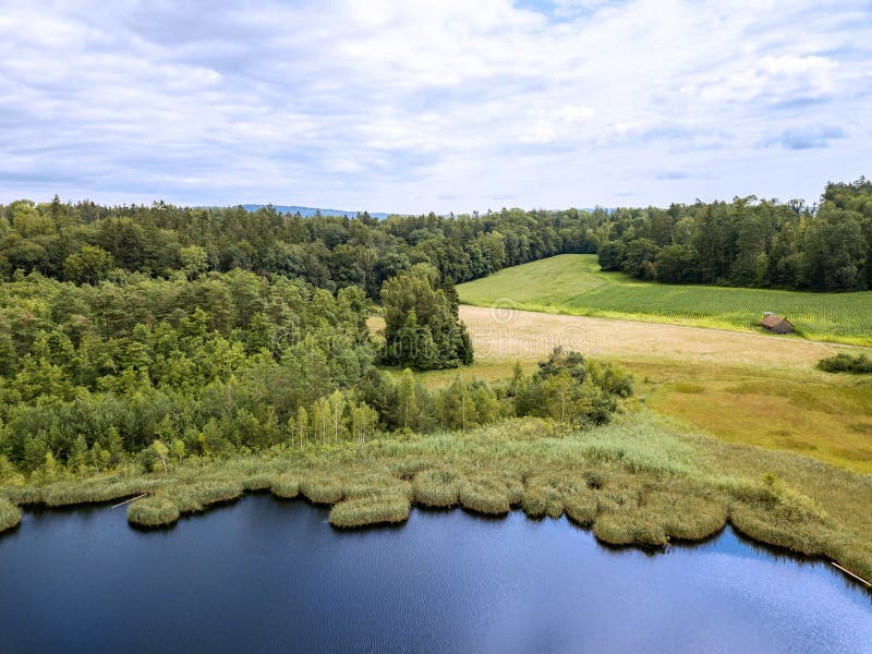 Erial image of a pond with floating turf mats stock images