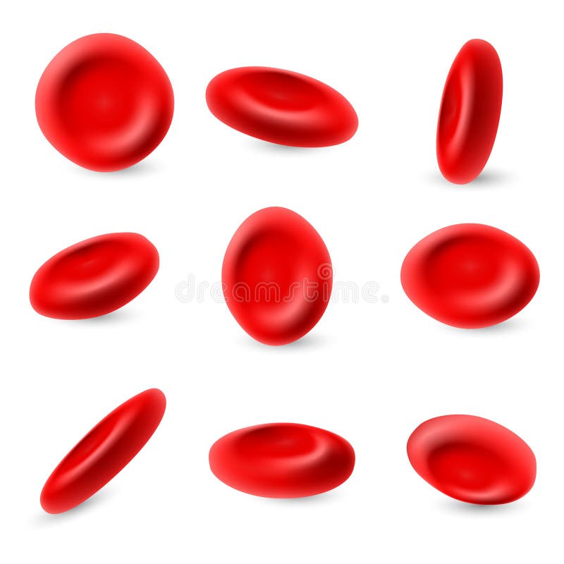 Eritrócite humano, grupo vermelho microscópico do vetor dos glóbulos 3d isolado no fundo branco ilustração stock Eritrócite humano, grupo vermelho microscópico do vetor dos glóbulos 3d isolado no fundo branco ilustração stock