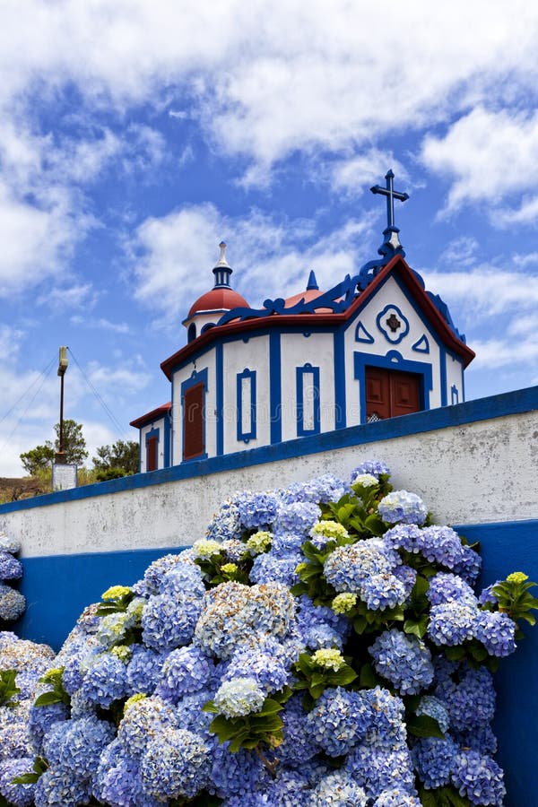 Hydrangea flowers in front of the chapel of Monte Santo at Agua de Pau, Sao Miguel island, Azores. Hydrangea flowers in front of the chapel of Monte Santo at Agua de Pau, Sao Miguel island, Azores