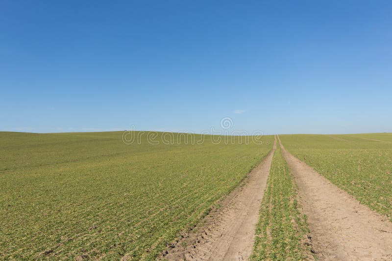 Ermüden Sie Bahnen auf dem grünen Gebiet mit klarem Hintergrund des blauen Himmels stockbild Ermüden Sie Bahnen auf dem grünen Gebiet mit klarem Hintergrund des blauen Himmels stockbild