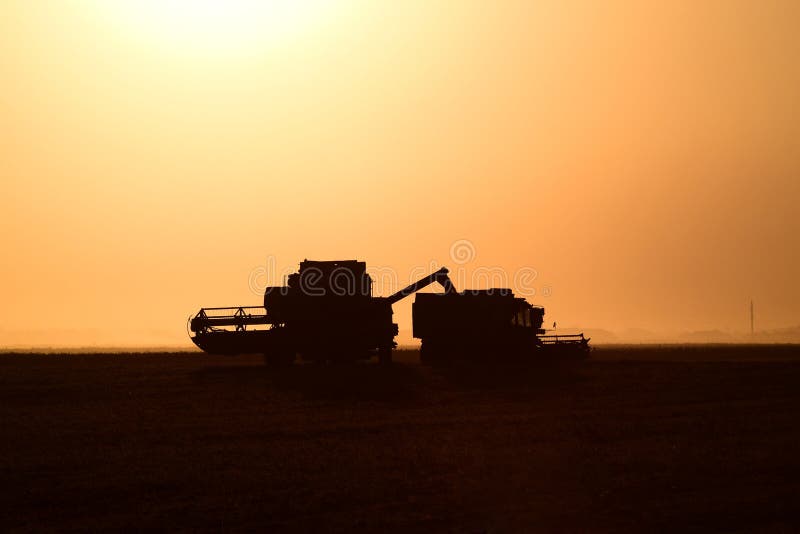 Harvesting by combines at sunset. Agricultural machinery in operation. Harvesting by combines at sunset. Agricultural machinery in operation.