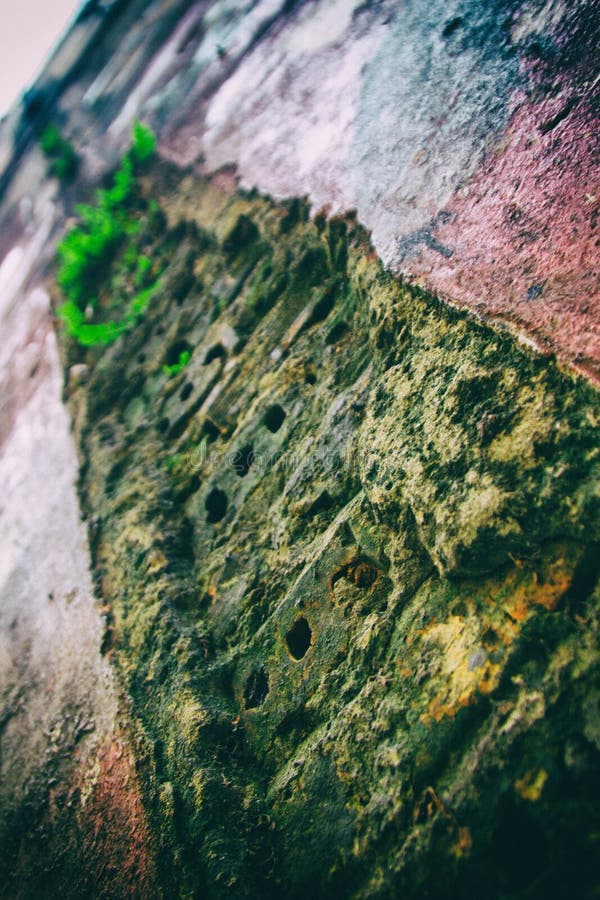 Low Angle View Of A Cracked Humid Wall On An Abandoned Building. Stock