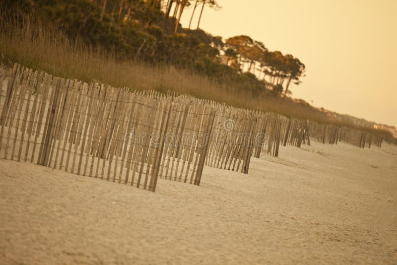 Erosion fence on deserted beach