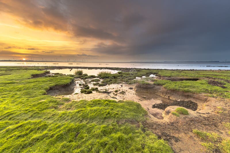 Erosion holes in grassland of tidal marsh of Dollard at the Punt van Reide in the Waddensea area on the Groningen coast in the Netherlands. Erosion holes in grassland of tidal marsh of Dollard at the Punt van Reide in the Waddensea area on the Groningen coast in the Netherlands