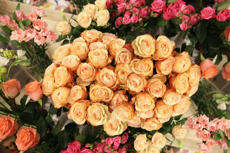 Erstaunlich schöne Pfirsichrosen in einem enormen Blumenstrauß lizenzfreie stockbilder Erstaunlich schöne Pfirsichrosen in einem enormen Blumenstrauß lizenzfreie stockbilder
