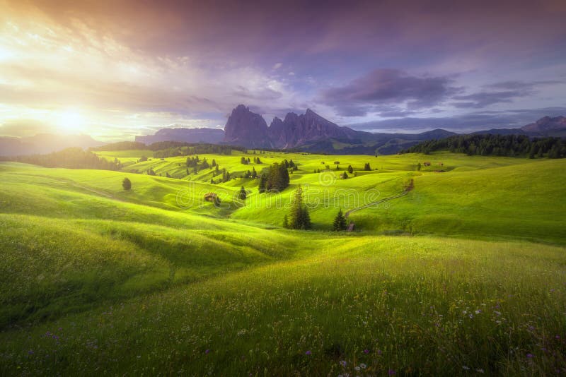 Erstaunliche Landschaftsansicht von grünen Hügeln mit blauem Himmel des Sommers auf Sonnenaufgang von Dolomit Seiser Alm, Italien