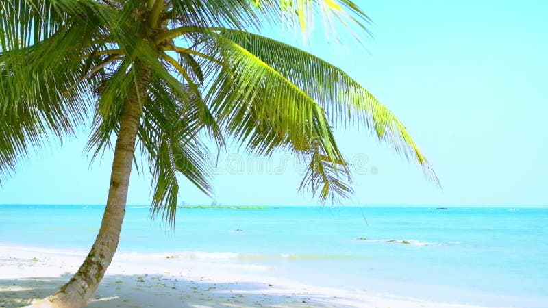 Erstaunliche tropische Strandlandschaft mit Palme, weißem Sand und Türkismeereswogen myanmar