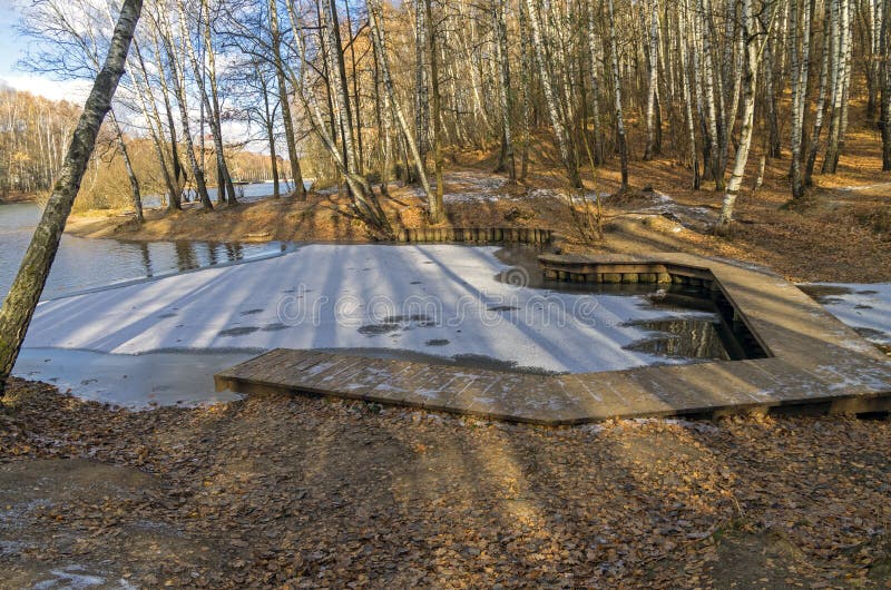 Download Erstes Eis Auf Einem Teich Im Forest Park Stockbild - Bild von oktober, fußgänger: 47100203