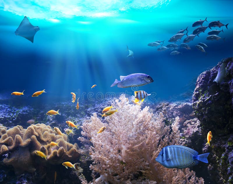 Ertsader met mariene dieren 3D Illustratie