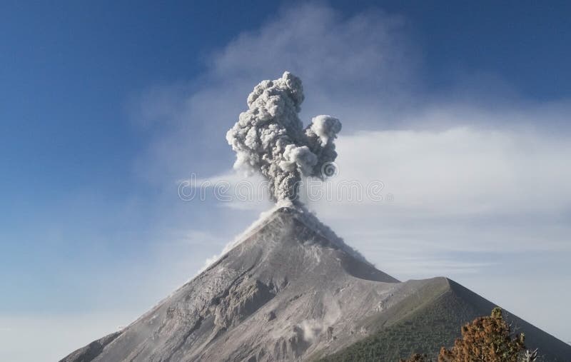 View of the active Fuego volcano eruption in the morning with blue sky and white clouds in the background, Guatemala. Photo taken from inactive volcano Acatenango. View of the active Fuego volcano eruption in the morning with blue sky and white clouds in the background, Guatemala. Photo taken from inactive volcano Acatenango.