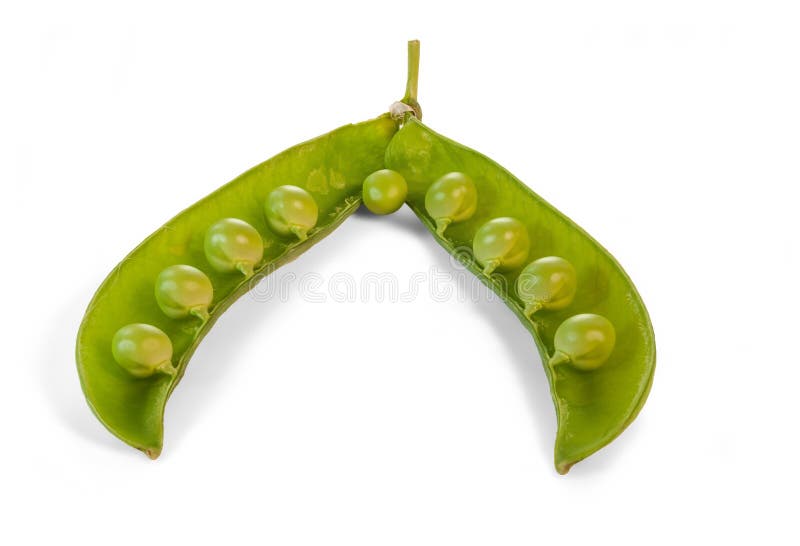 Erwt stock afbeelding