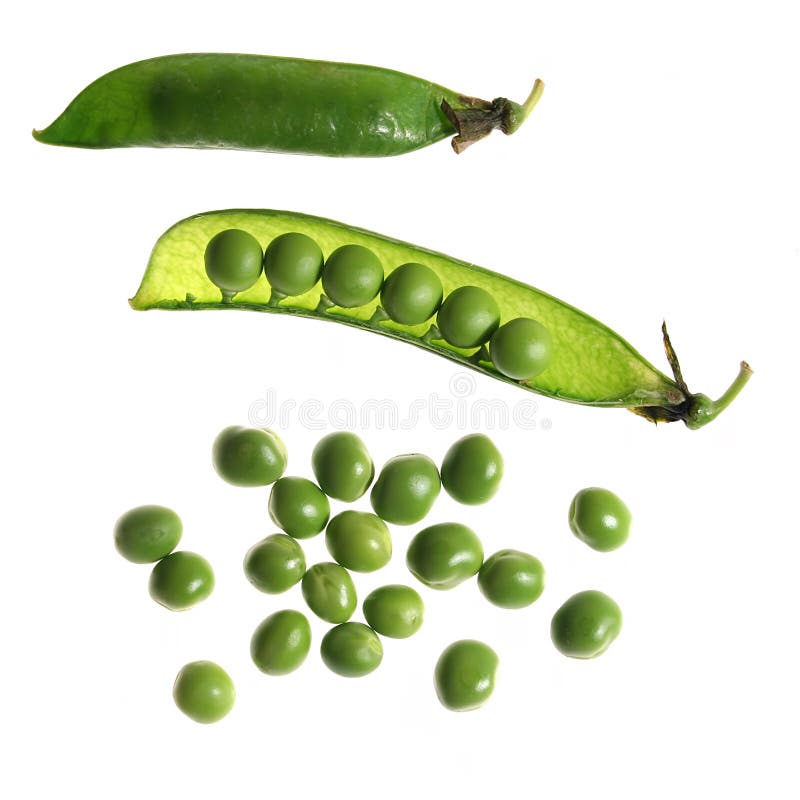 Erwt royalty-vrije stock afbeeldingen